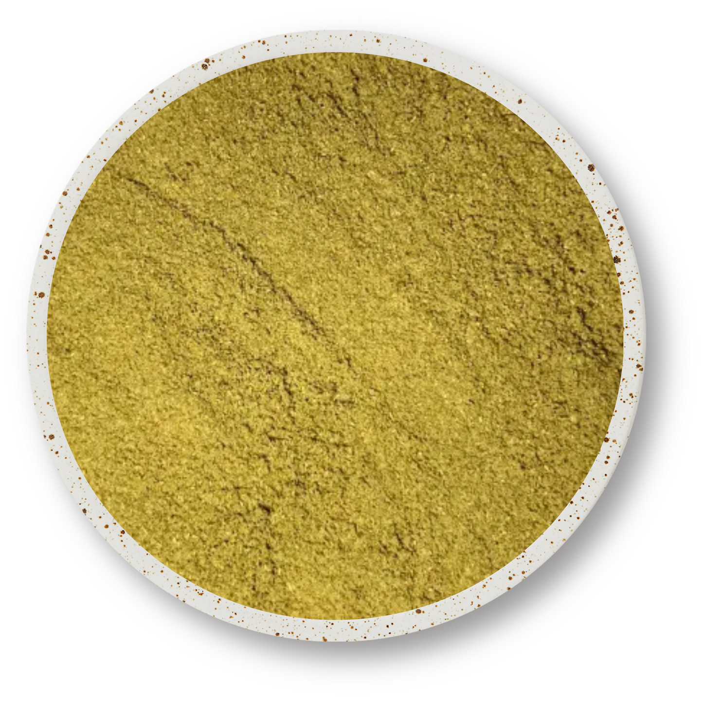 Le Fenouil